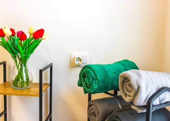 Vaclav With Garage K12 Durrës